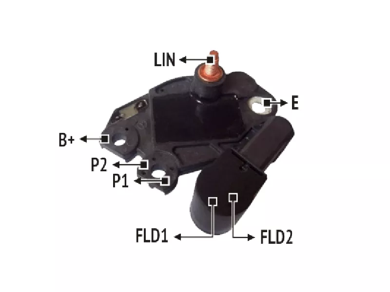 RNV 593970          